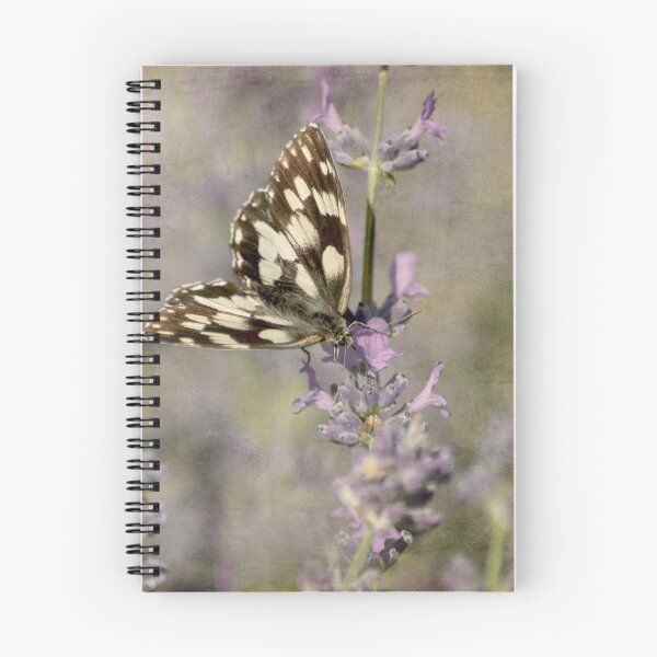 Item preview, Wonderful specimen of the Galatea butterfly with delicate colors  designed and sold by ritadilalla.