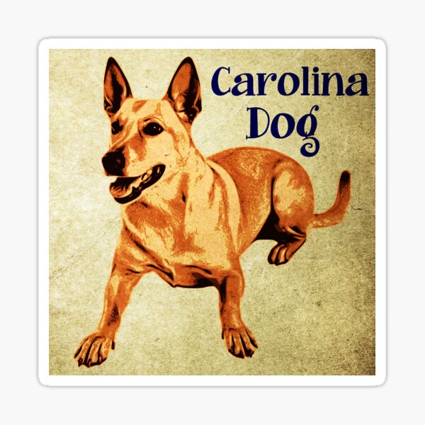 Vintage Carolina dog cartoon Sticker