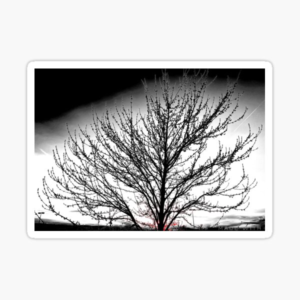 Trees life Sticker