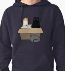 Cats in a Box Pullover Hoodie