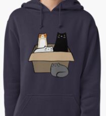 Cats in a Box Pullover Hoodie