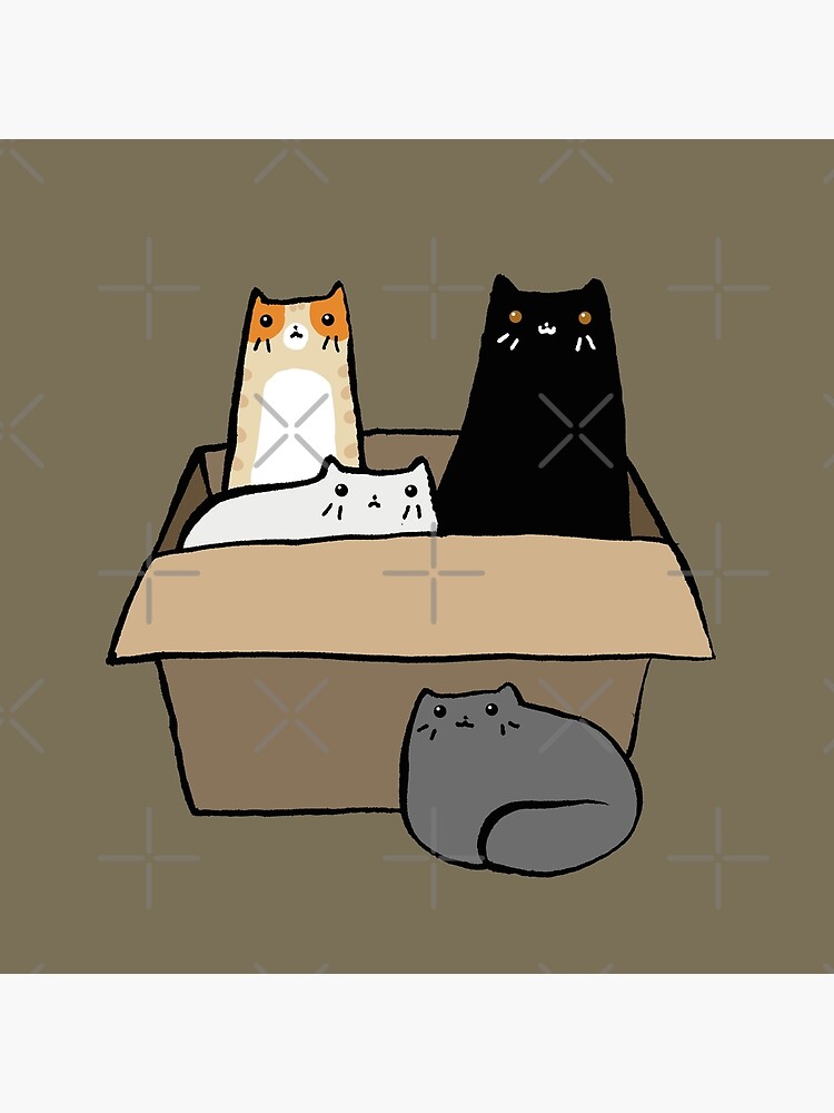 Cats in a Box by SaradaBoru