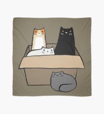 Pañuelo Gatos en una caja