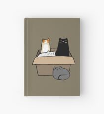 Katzen in einer Box Notizbuch