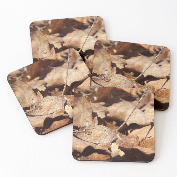 Item preview, Fallen leaves  designed and sold by Phoebew03.
