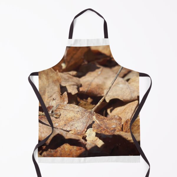 Item preview, Fallen leaves  designed and sold by Phoebew03.