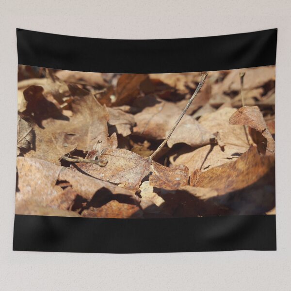 Aperçu de l'œuvre Feuilles mortes créée et vendue par Phoebew03.