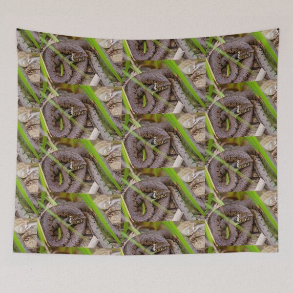 Item preview, Just Lazing in the sun designed and sold by Dalyndigital Photography.