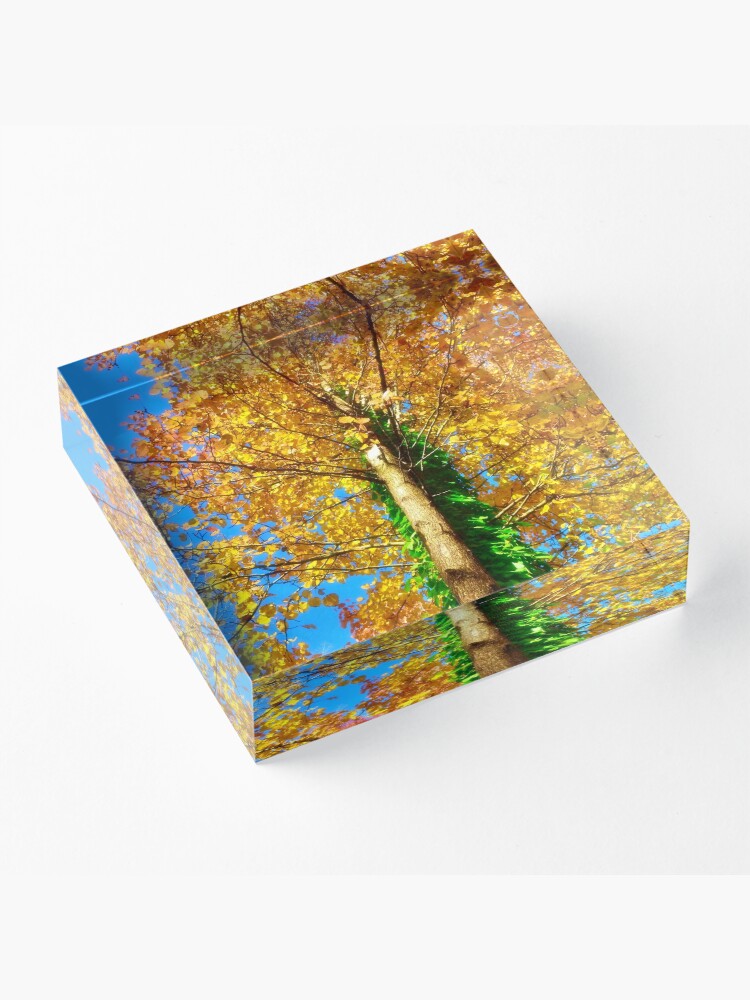 Alternate view of Fall color Acrylic Block