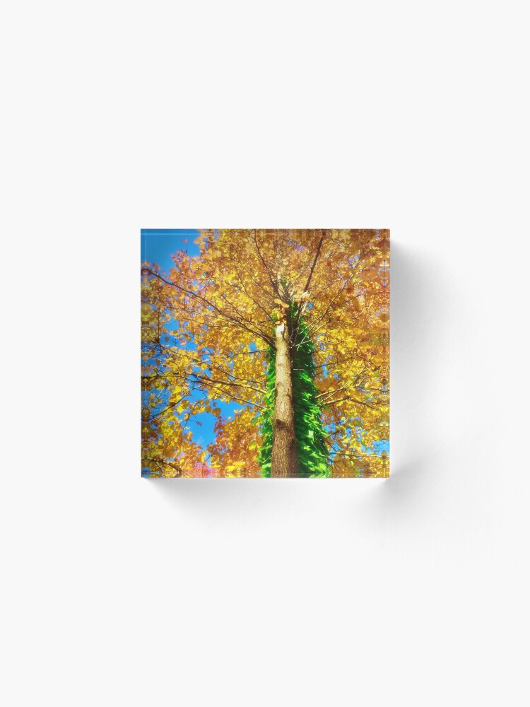 Alternate view of Fall color Acrylic Block