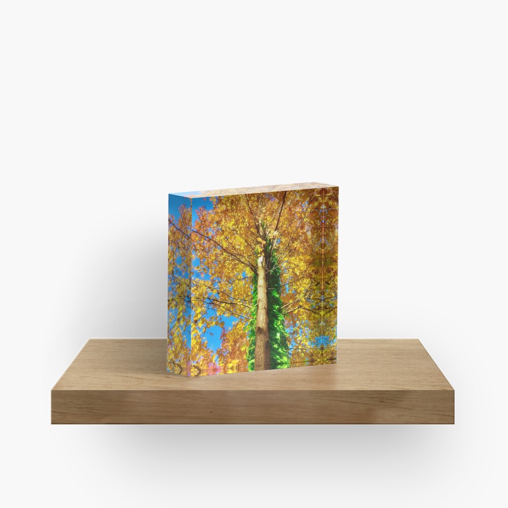 Fall color Acrylic Block