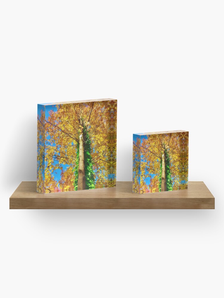 Alternate view of Fall color Acrylic Block