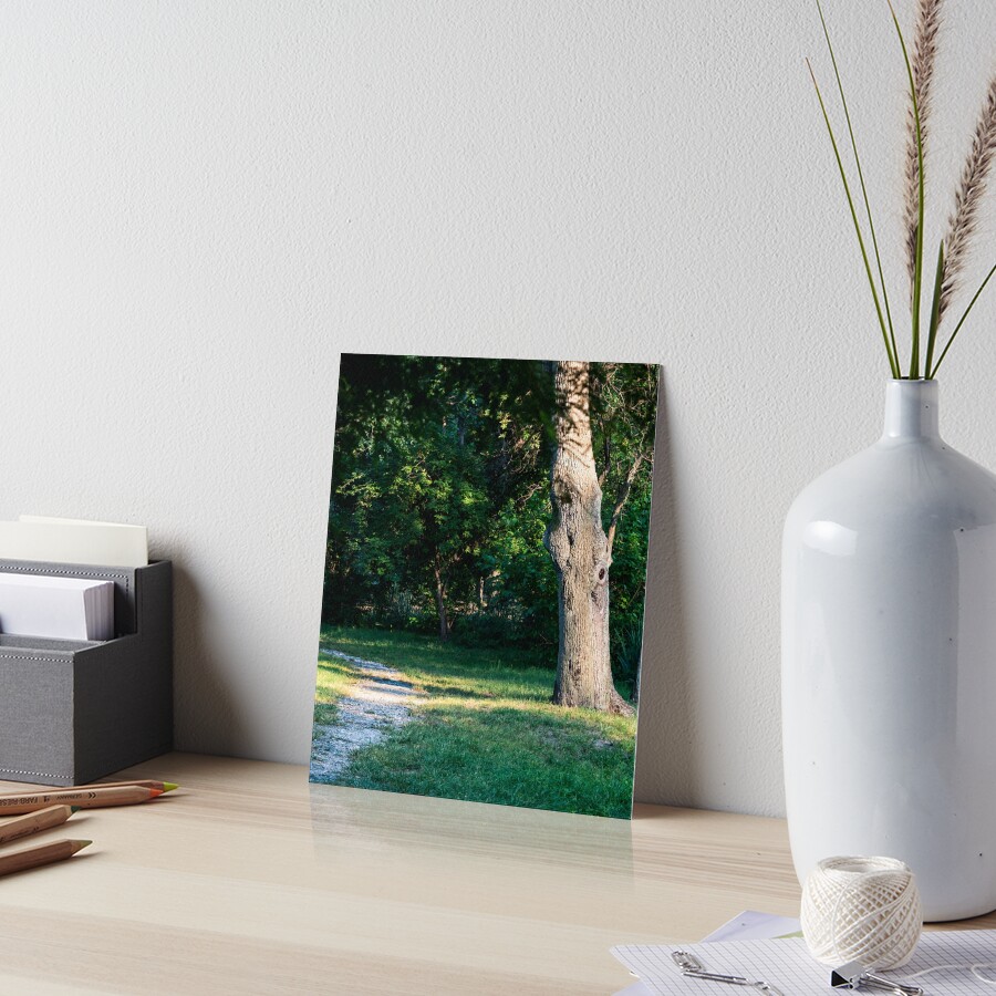 Rocky trail in Nicolae Romanescu Park Art Board Print