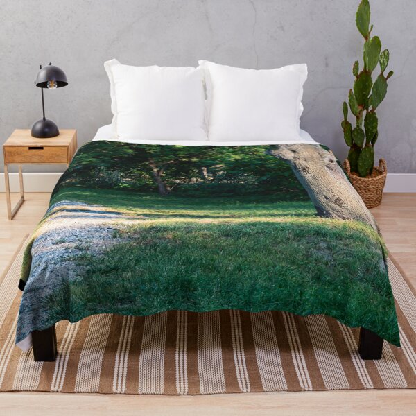 Item preview, Rocky trail in Nicolae Romanescu Park designed and sold by Life-s-A-Hike.