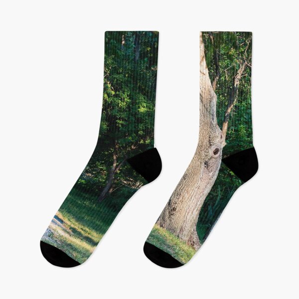 Item preview, Rocky trail in Nicolae Romanescu Park designed and sold by Life-s-A-Hike.