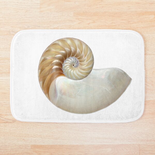 Artikelvorschau, Innenansicht einer Nautilusschale entworfen und verkauft von eugenesim.