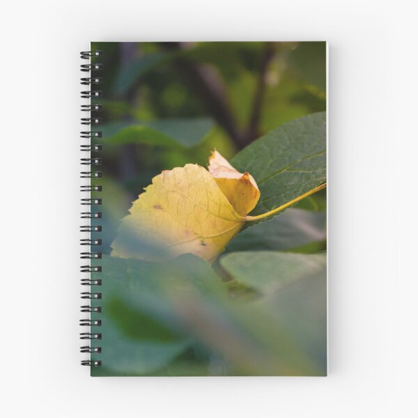 Item preview, Dead yellow leaf hanging on a tree designed and sold by Life-s-A-Hike.