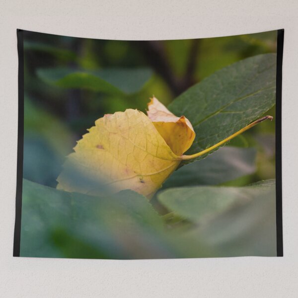 Item preview, Dead yellow leaf hanging on a tree designed and sold by Life-s-A-Hike.