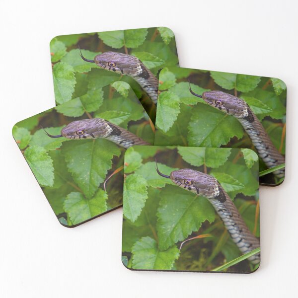 Item preview, Grass Snake tasting the air designed and sold by Dalyndigital Photography.