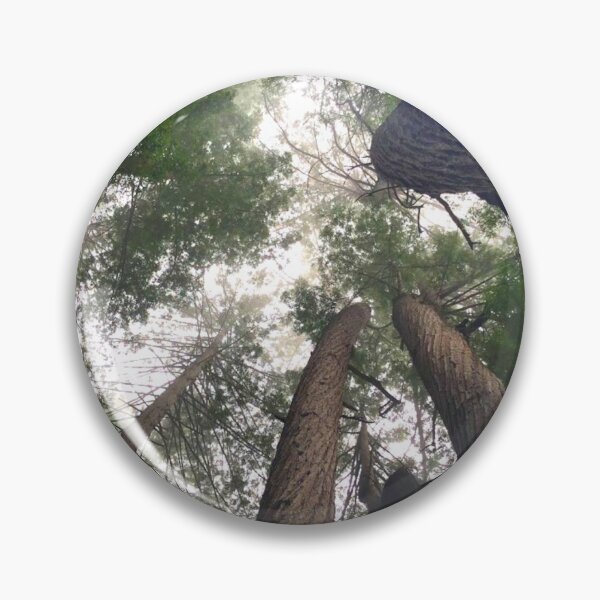 Item preview, Sequoia Trees Big Sur California designed and sold by sincerely-olive.