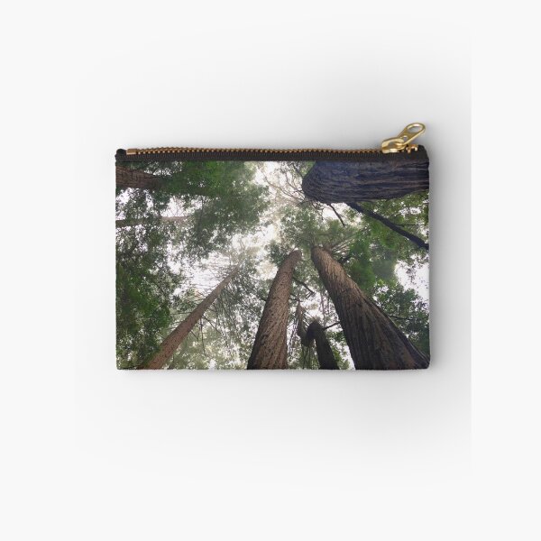 Item preview, Sequoia Trees Big Sur California designed and sold by sincerely-olive.
