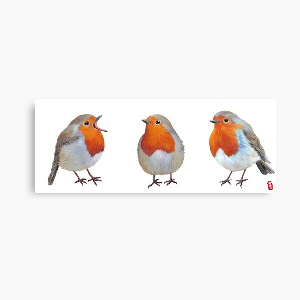 Aperçu de l'œuvre Robin européen créée et vendue par Roy & Tiffany.