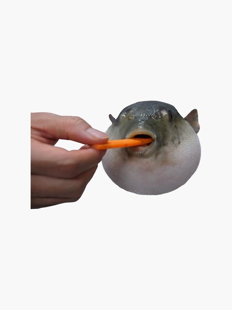 "Puffer Fish Eating Carrot" Sticker by SpMorpion Redbubble