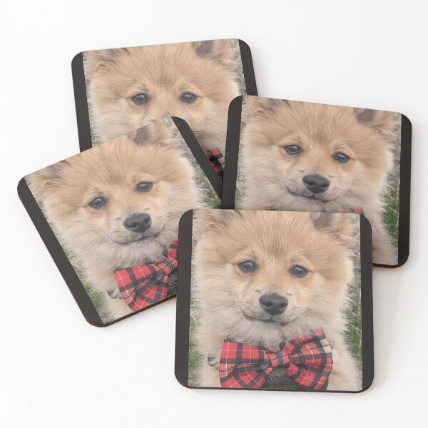 Item preview, Pomeranian puppy Kai designed and sold by Fluffycat2020.