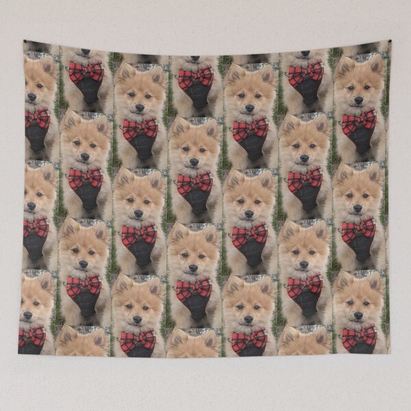 Item preview, Pomeranian puppy Kai designed and sold by Fluffycat2020.