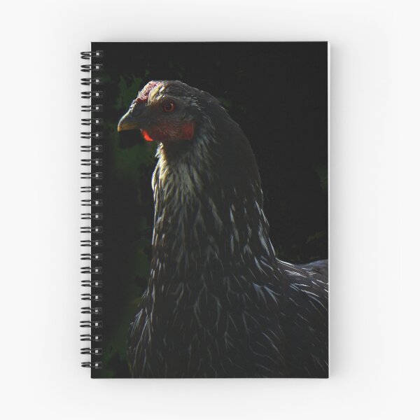 Item preview, On Patrol - photograph designed and sold by Paul Davenport.