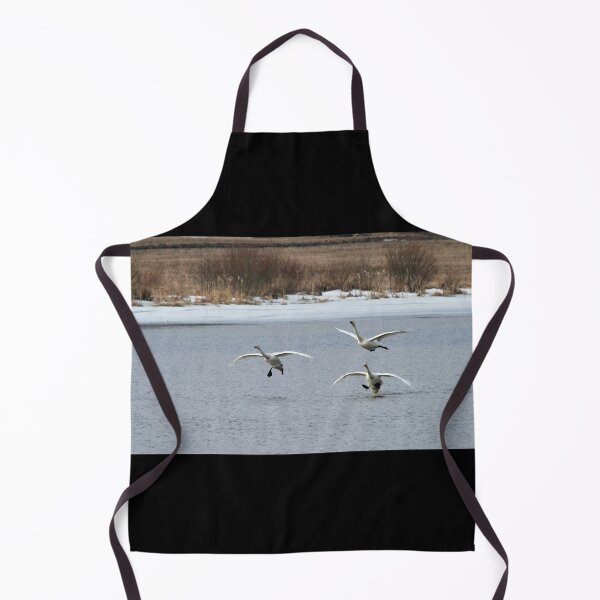 Item preview, Freestyle landings. Whooper swan designed and sold by Jouko Lehto Photography.
