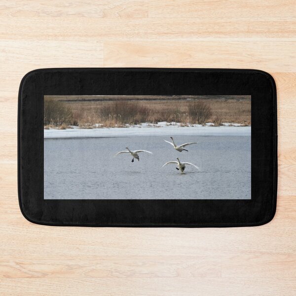 Item preview, Freestyle landings. Whooper swan designed and sold by Jouko Lehto Photography.