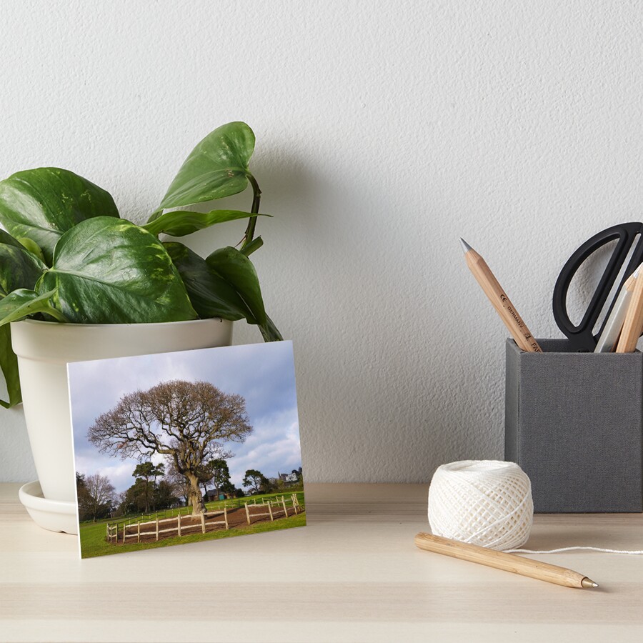 Item preview, Art Board Print designed and sold by rawshutterbug.