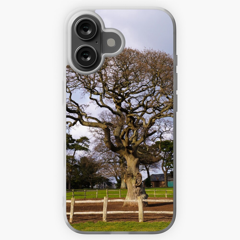 Item preview, iPhone Soft Case designed and sold by rawshutterbug.