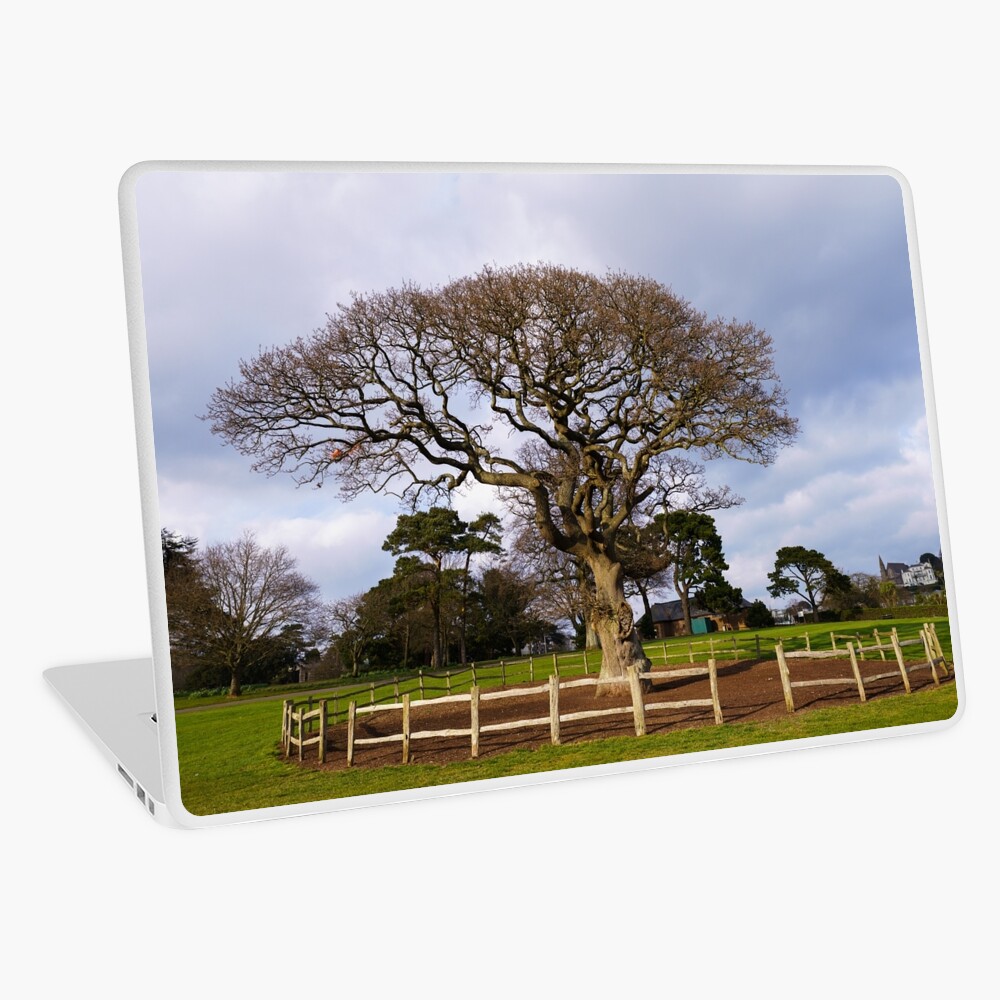 Item preview, Laptop Skin designed and sold by rawshutterbug.