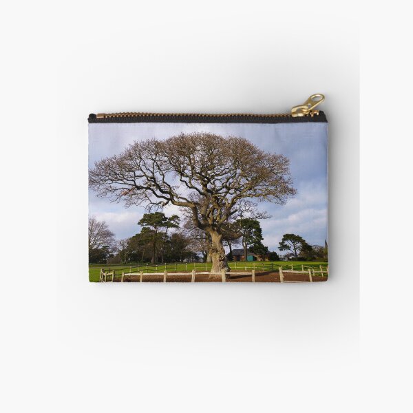 Item preview, Torre Abbey Meadows Oak Tree designed and sold by rawshutterbug.