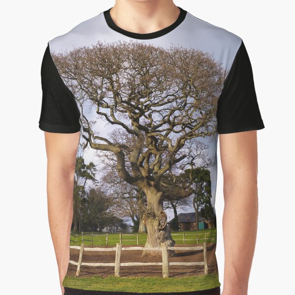 Item preview, Torre Abbey Meadows Oak Tree designed and sold by rawshutterbug.