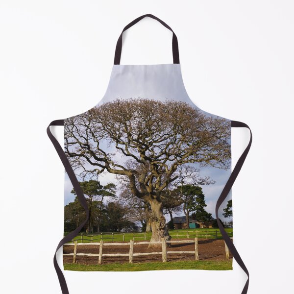 Item preview, Torre Abbey Meadows Oak Tree designed and sold by rawshutterbug.