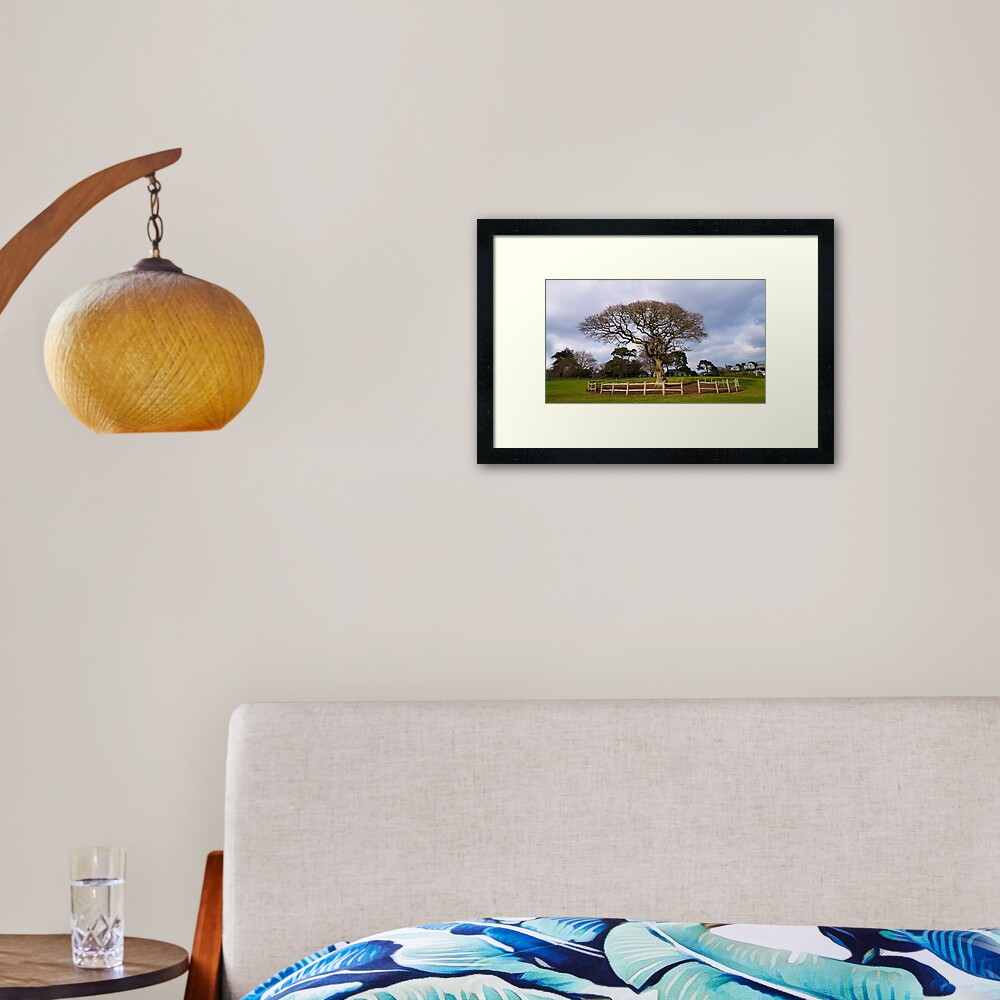 Item preview, Framed Art Print designed and sold by rawshutterbug.