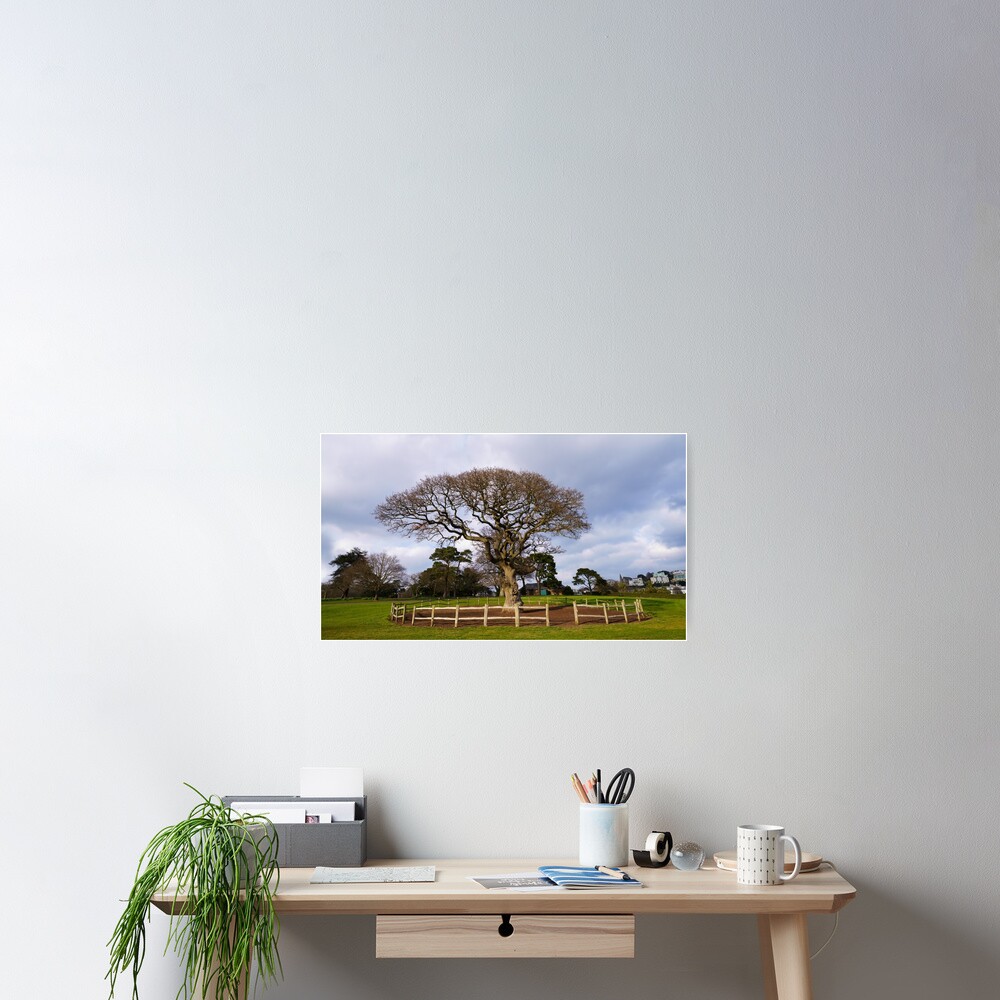 Item preview, Poster designed and sold by rawshutterbug.
