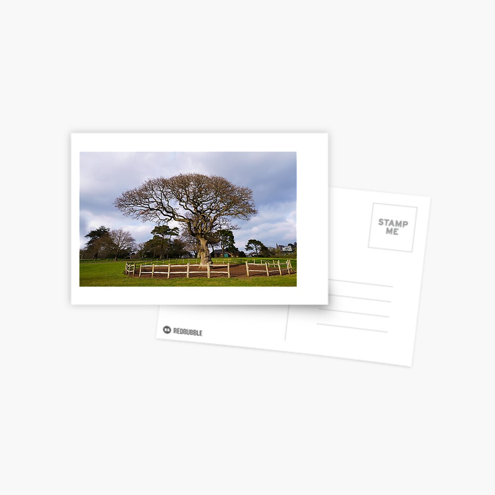 Item preview, Postcard designed and sold by rawshutterbug.