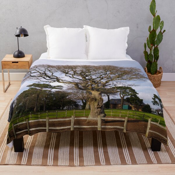 Item preview, Torre Abbey Meadows Oak Tree designed and sold by rawshutterbug.
