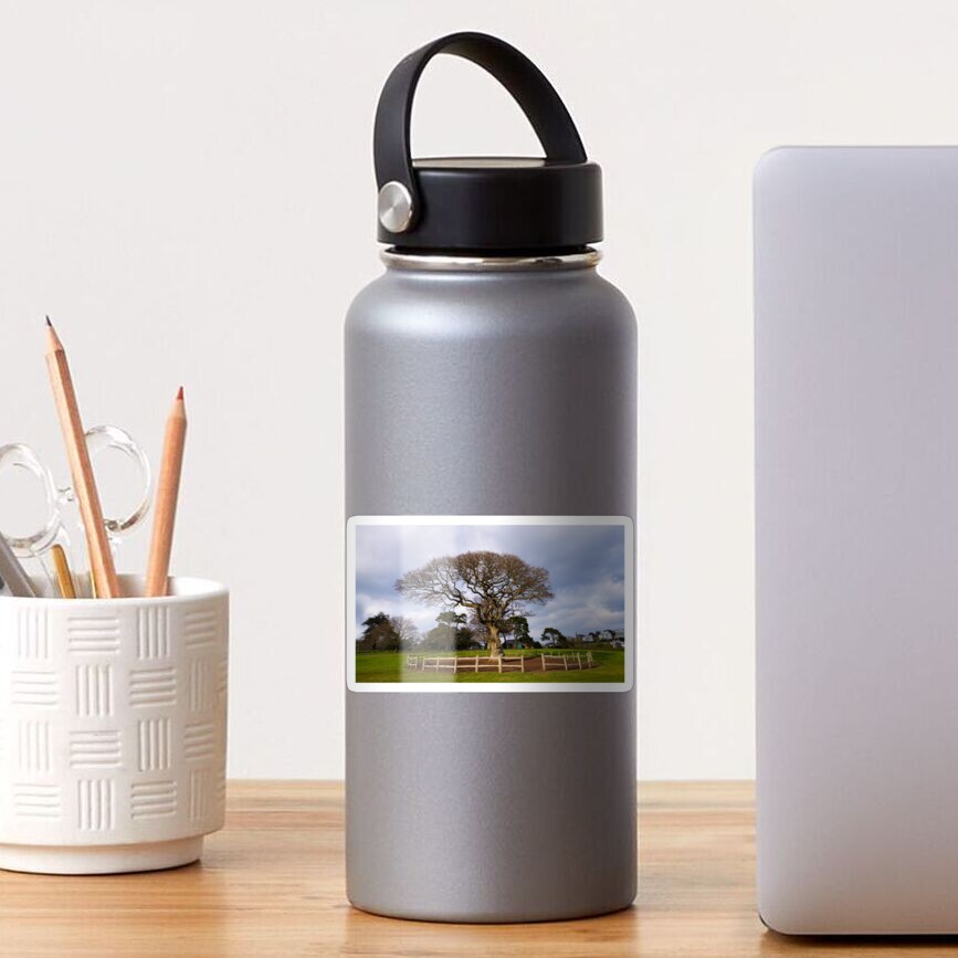 Item preview, Glossy Sticker designed and sold by rawshutterbug.