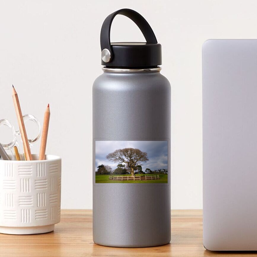 Item preview, Transparent Sticker designed and sold by rawshutterbug.
