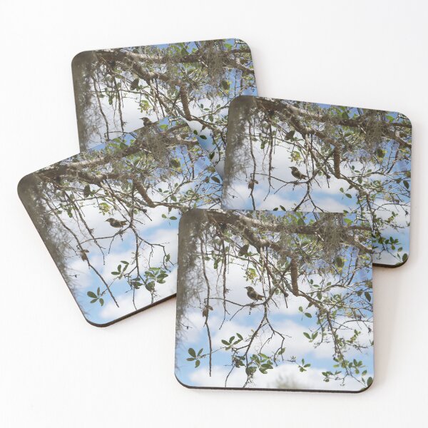 Item preview, yellow palm warbler in a live oak tree designed and sold by distracted.