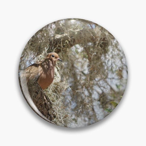 Item preview, male mourning dove designed and sold by distracted.