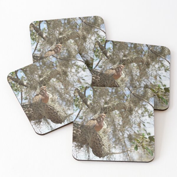 Item preview, male mourning dove designed and sold by distracted.