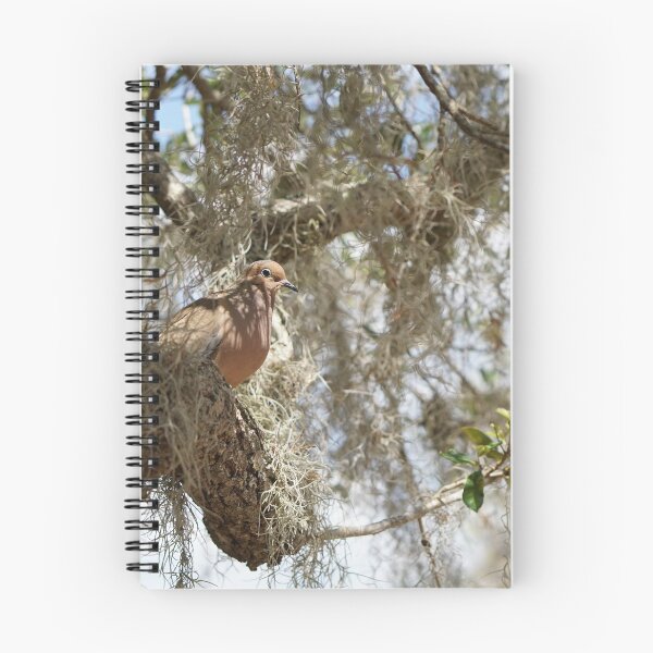 Item preview, male mourning dove designed and sold by distracted.
