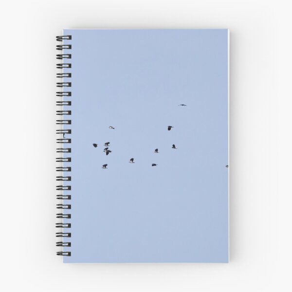 Item preview, Let's go together. Northern lapwing designed and sold by Jouko Lehto Photography.