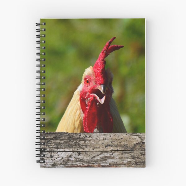 Item preview, Surprise! - photograph designed and sold by Paul Davenport.